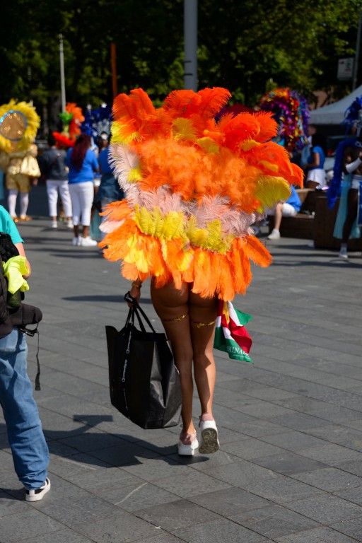 ../Images/Zomercarnaval 2022 007.jpg